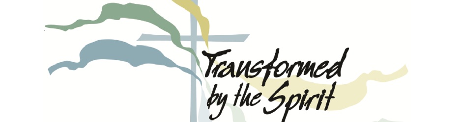 Transformed By The Spirit: Building On Our Mission Summit Conversations ...